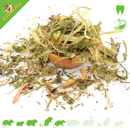 Knaagdier Kruidenier Herb & Protein Mix for Omnivores