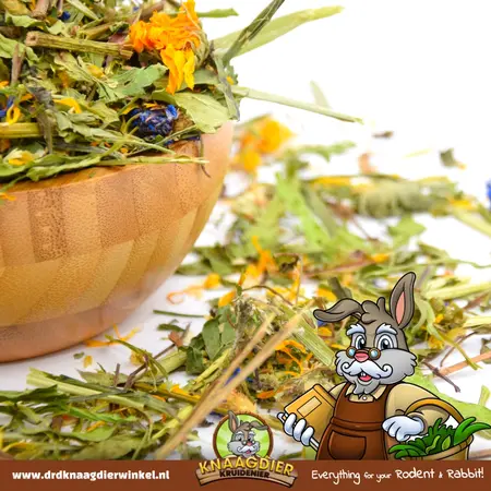 Knaagdier Kruidenier Wiesenmischung Deluxe