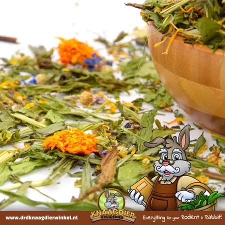 Knaagdier Kruidenier Weidemix Deluxe