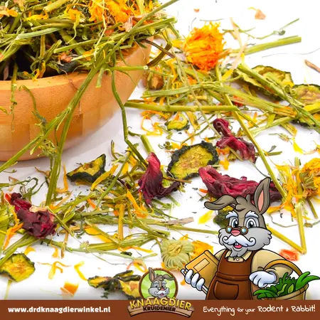 Knaagdier Kruidenier Luzerner Traum Deluxe