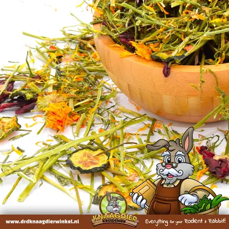 Knaagdier Kruidenier Sueño de Lucerna Deluxe