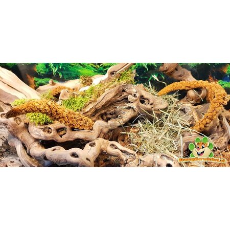 Trixie Piaskowane winorośl