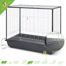 Argus 120 Plexi Small Animal Home