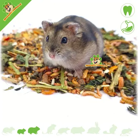 Esve Comida para hámster y hámster enano Habitat 450 gramos Comida natural para hámster enano