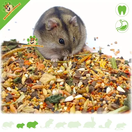 Esve Habitat Hamster & Dwarf Hamster Food 450 gram Natural Dwarf Hamster Food