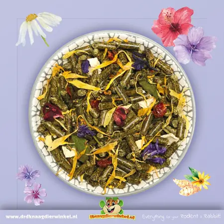 Bunny Nature DegoeDroom Basic Degoe food 1,2 kg