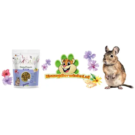 Bunny Nature DegoeDroom Basic Degoe Futter 1,2 kg