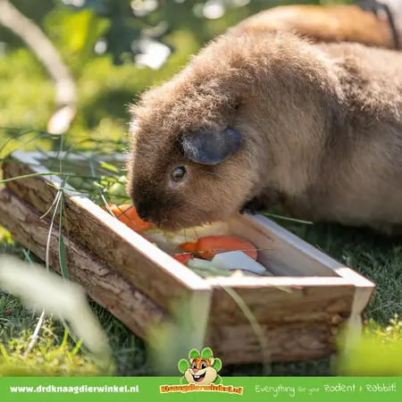 Trixie Gruppenfuttertrog aus Holz, 27 cm, für Meerschweinchen, Kaninchen und Nagetiere
