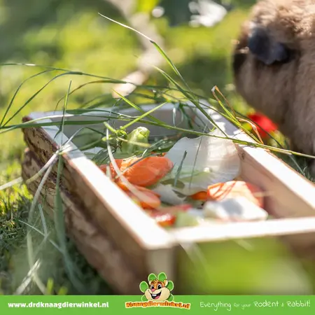 Trixie Gruppenfuttertrog aus Holz, 27 cm, für Meerschweinchen, Kaninchen und Nagetiere