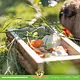 Trixie Gruppenfuttertrog aus Holz, 27 cm, für Meerschweinchen, Kaninchen und Nagetiere