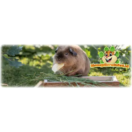 Trixie Gruppenfuttertrog aus Holz, 27 cm, für Meerschweinchen, Kaninchen und Nagetiere