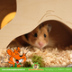 Rodipet Hamsterscaping Goldi Watchbox dla gryzoni!