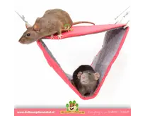 Hangmat met 2 etages 30 cm voor Ratten, Muizen en Fretten