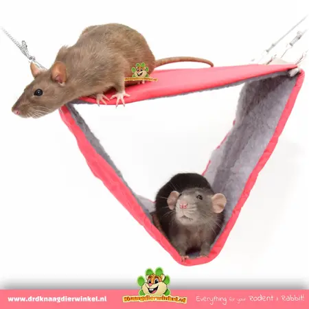 Trixie Hangmat met 2 etages 30 cm voor Ratten, Muizen en Fretten
