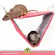 Trixie Hangmat met 2 etages 30 cm voor Ratten, Muizen en Fretten