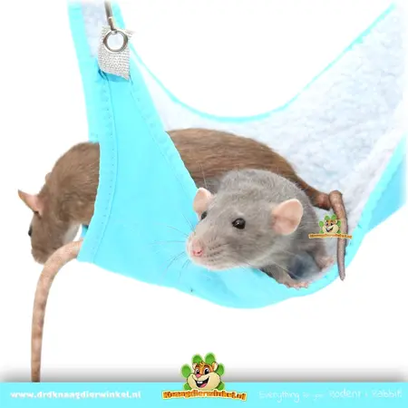 Trixie Hängematte 45 cm für Ratten, Meerschweinchen, Kaninchen und Frettchen
