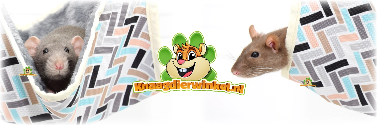 Nagetier-Rattenhängematte Klara mit Ratten darin