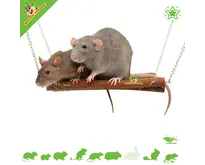 Willow Suspension Bridge for Rodents!