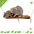 Willow Suspension Bridge 20 cm