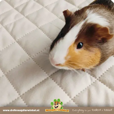 Ground mat for C&C Cage 4x2 - 142 x 69 cm