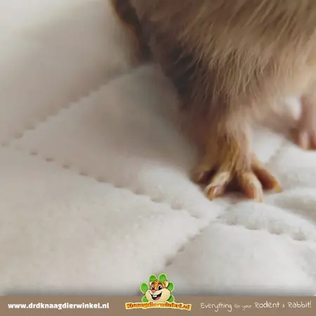 Mata dolna do klatki C&C 5x2 - 178 x 69 cm