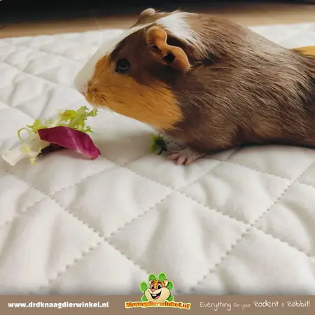 Tapis de sol pour cage C&C 5x2 - 178 x 69 cm