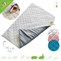 Tapis Absorbant Lavable Pour Cochons D'Inde Et Lapins - Anti-fuite, Doux En Polaire, Lot De 2
