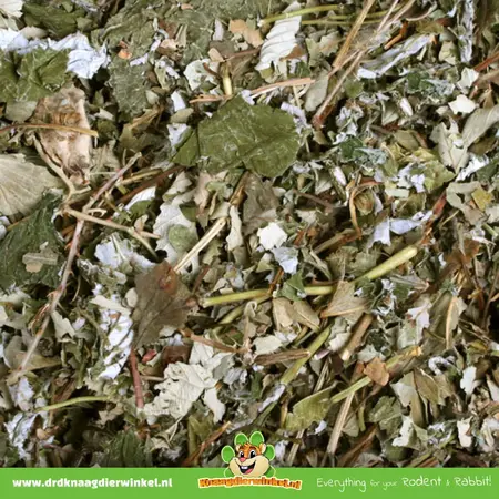 JR Farm Berries Leaves Grain Free for Rodents and Rabbits!