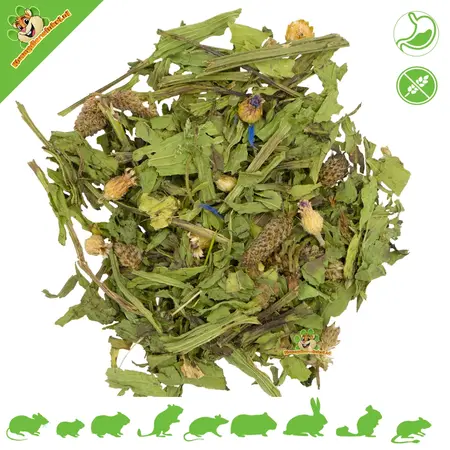 JR Farm Narrow-leaved Plantain with Cornflower for Rodents & Rabbits