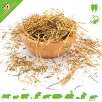 Dried Common Rocket (Hearty) 50 grams