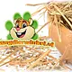 Dried Common Rocket (Heeskruid) 50 grams