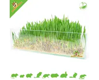 Knaagdiergras 100 gram