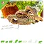 Trixie Kurk Mix 300 g voor Hamsterscaping en Gerbilscaping