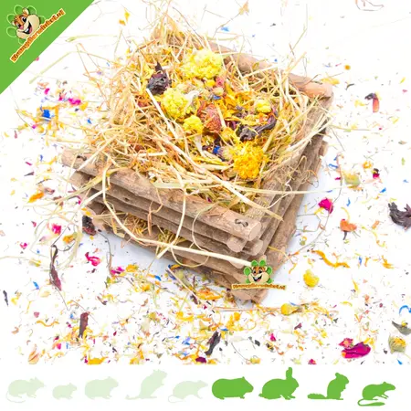 Trixie Heuraufe Holz quadratisch 15 cm