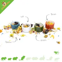 Bol pour petits animaux de 5 cm