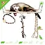 Trixie Hängebrücke 35 cm für Mäuse, Ratten und Frettchen