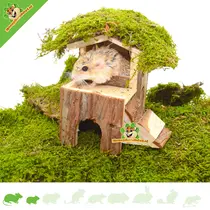 Björk House 15 cm