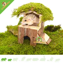 Casa de Björk 15 cm