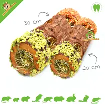 Tree Trunk Tunnel Snack Foraging & Gnawing
