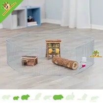 Mouse and Hamster Run