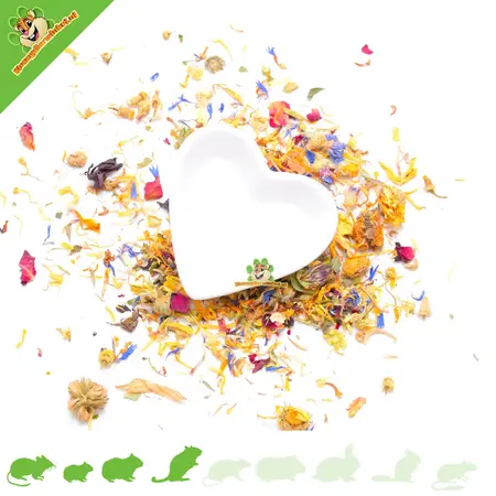Futternapf oder Wassernapf White Heart 8 cm