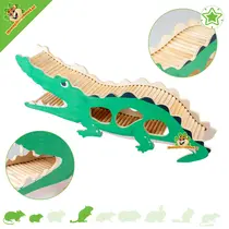Boîte à montre Crocodile 50 cm