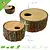 Hamsterscaping Tree Trunk Removable Roof