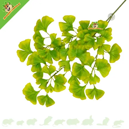 Künstliche Hängepflanze Ginko Grün 63 cm