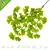 Hängende Kunstpflanze Ginkgo Grün 63 cm