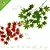 Hanging Artificial Cannabis Plant 65 cm