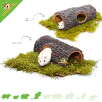 Tree Trunk Brown