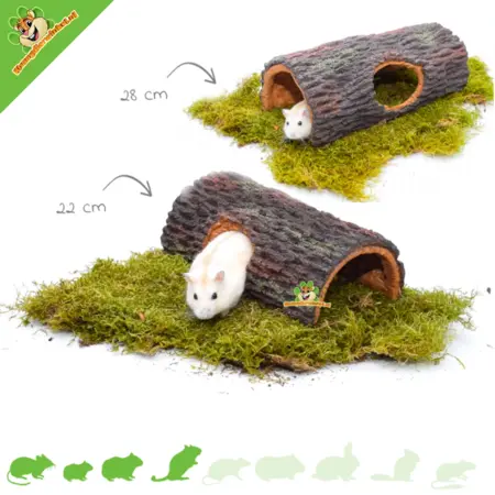 Brown tree trunk for hamsterscaping and gerbilscaping