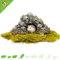 Grotte en forme de crâne pour hamster, 24 cm