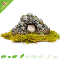 Grotte en forme de crâne pour hamster, 24 cm